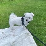 David Holmberg - @davidholmberg_ - Instagram