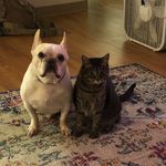 David Holmberg - @holmbergisking - Instagram