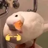 David Holmes - @david.holmes96 - TikTok