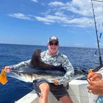 David Hord - @davidhord - Instagram