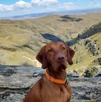 David Hore - Facebook