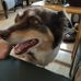 David Hornung - Facebook