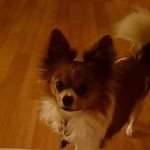 David Hornung - @david._.th - Instagram