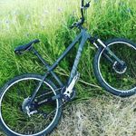 David Horstmann - @horstmanndavid - Instagram
