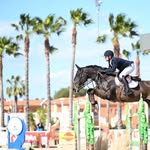 David Horváth - @david.horvath.official - Instagram