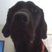 David Horvitz - Facebook