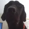 davidhorvitz749 - @davidhorvitz749 - TikTok