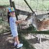David Hosch - @david.hosch - TikTok