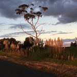 David Hostetler - @dhostetler419 - Instagram