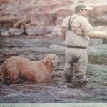 David Hostetler - @hostetler_david - Instagram