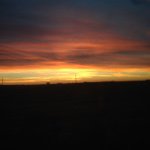Levi David Hostetler - @_natures_messenger_ - Instagram