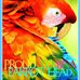 David Hoth - Facebook
