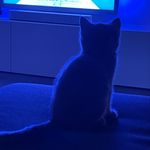 David - @david_houben___ - Instagram