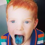 David Houben - @david_houben - Instagram