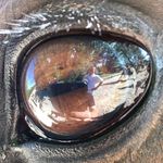 David Houdain - @davidhoudain - Instagram