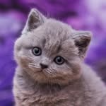 David Houdek - @david.houdek.750 - Instagram