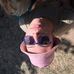 David Houdek - Facebook