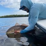 Capt. David Houghtaling - @swflsightfishing - Instagram