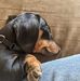 David Houghtaling - Facebook