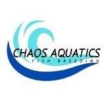 David Housewright - @chaos_aquatics - Instagram