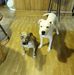 Dave Houtz - Facebook