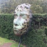 David Howarth - @davidhowarthuk - Instagram