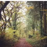 Angie Devereux David Howlett - @follylanestudio - Instagram