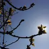 davidhowlett72 - @davidhowlett72 - TikTok