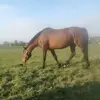 David Hudec - @david.hudec - TikTok