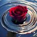David Huertas - Facebook