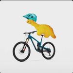 David hund - @endurobros07 - Instagram