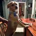 David Hunn - Facebook