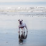 David Hurst - @hurstogram - Instagram