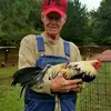David Hurt Gamefarm - @david.hurt.gamefa - TikTok