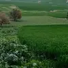 David Hussein - @davidhussein40 - TikTok