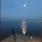 David Hussey - @david.hussey.716 - Instagram