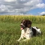 David Hussey - @dp.hussey - Instagram