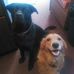 David Hutcheon - Facebook