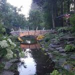 David Hutcheon - @david.hutcheon.50 - Instagram