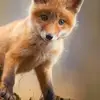 David Huth - @david.huth - TikTok