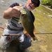 David Huthmaker - Facebook