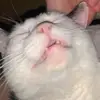 David hutt - @david.hutt80 - TikTok