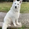 David1997 - @david.dhux - TikTok