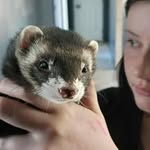David Hux - @david.hux.7 - Instagram
