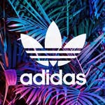 David - @davidhuys220920 - Instagram