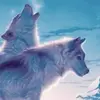 David Huys - @david_and_adrien - TikTok