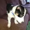 davidhyden86 - @davidhyden86 - TikTok