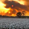 davidhydrick - @david.hydrick - TikTok