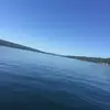 David Humel - @davidhumel1 - TikTok