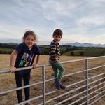 David Hynds - @hynds.david - Instagram
